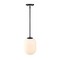 Designers Fountain Noor 60 Watt 1-Light Matte Black Modern Pendant Light with Etched Opal Glass Shade D324M-8P-MB - alternate 1